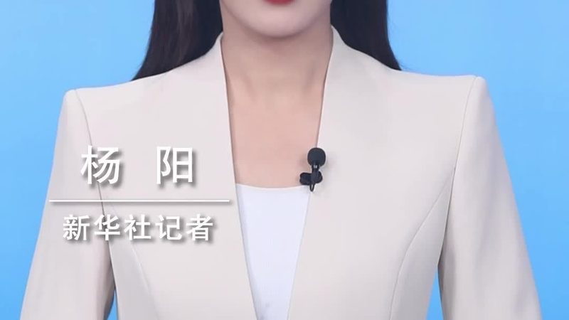 数据服务安装代理：企业数字化转型的关键一环